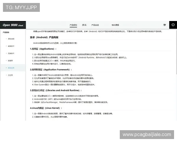云顶国际体育平台怎么样：全面分析其安全性与用户体验